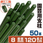 国華園 イボ付鋼管製支柱スーパー 直径8mm・長さ120cm 50本１組 グリーン 園芸支柱 家庭菜園 イボ竹