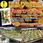 【2026/10/7以降順次発送となります】豆乳おからクッキー 200g お試し 砂糖・卵・小麦粉・乳不使用 訳あり