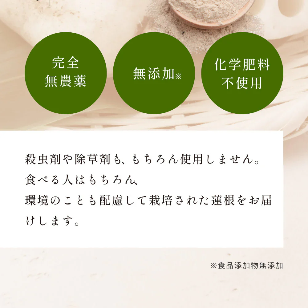 風土日和 国産れんこんパウダー 無農薬 無添加 70g 賞味期限：2024年6月5日 カウシェ限定 | オーガライフ