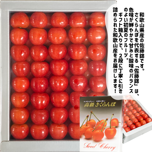 和歌山県産 佐藤錦 約500g 化粧箱入り 2L 和歌山 さくらんぼ ギフト 贈答