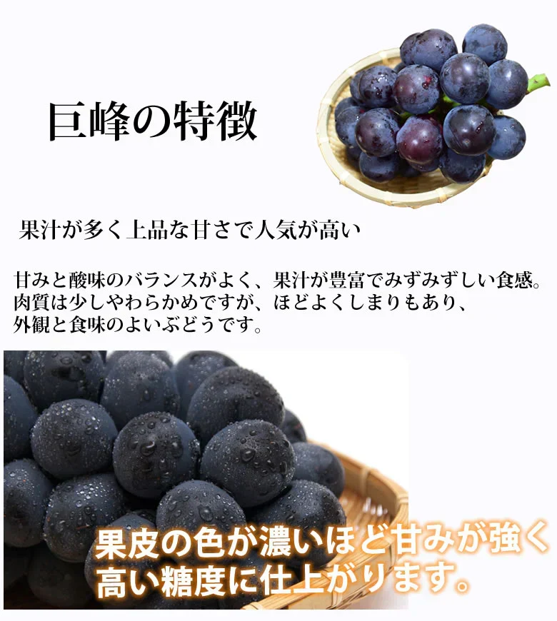 ぶどう 巨峰 約1.2kg（約300g×4パック） 福岡・熊本県産 〈クール便でお届け〉きょほう 葡萄 黒ぶどう 藤稔 ピオーネ