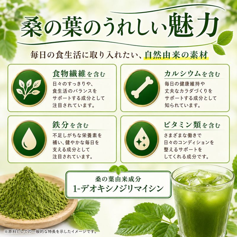 国産 桑の葉パウダー 500g 無添加 ノンカフェイン 粉末 桑の葉茶 桑 くわ クワ