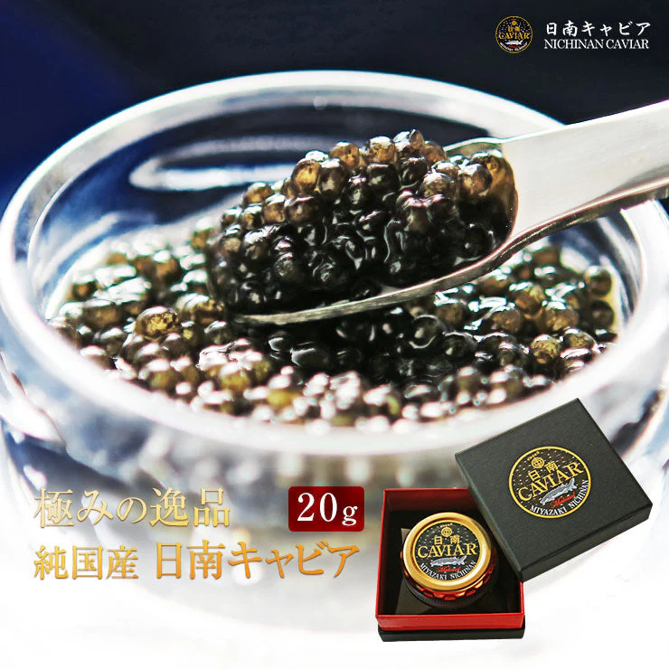国産キャビア 宮崎県産 フレッシュキャビア  日南キャビア  20g 化粧箱入り 冷凍