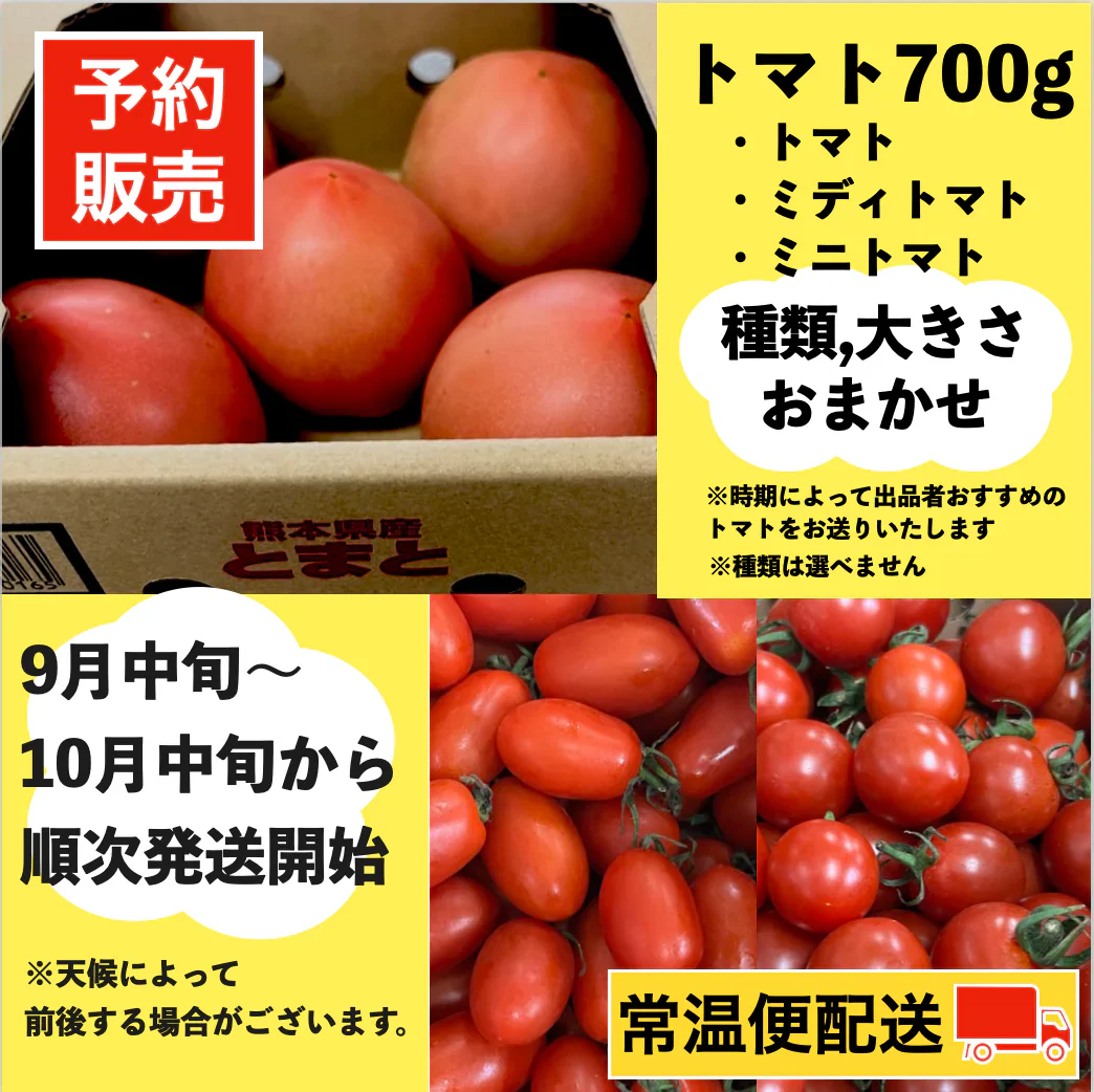 【予約販売/9月中旬〜10月中旬頃より順次発送開始予定】トマト 🍅700g 常温便配送 (トマト・ミディトマト・ミニトマトなど種類は出品者おまかせ) 60サイズ【北海道・東北・沖縄配送不可】【カウシェファーム収穫対象商品】