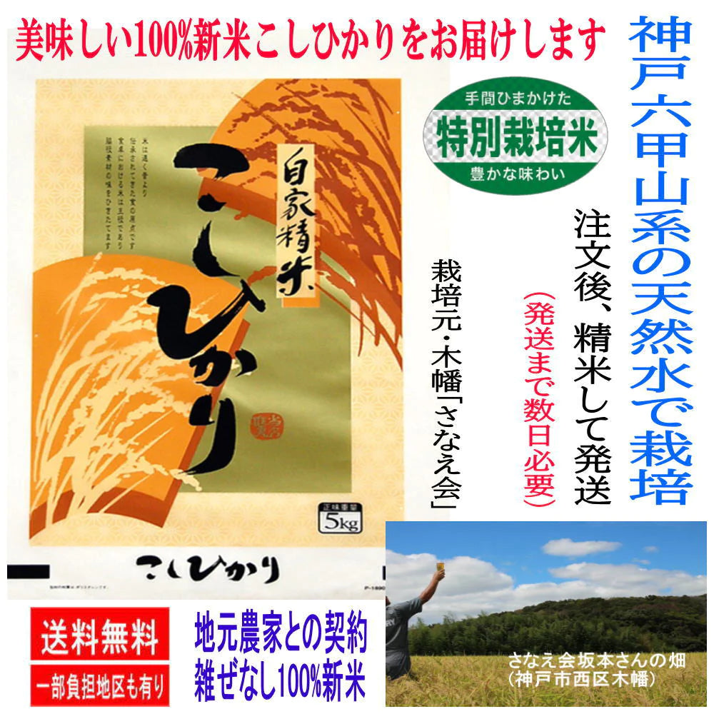 【精米したてを発送 令和４年米】 100% 新米・こしひかり10kg (5ｋｇ２袋)  安心・安全のお米 特別栽培米 六甲山系の豊かな山水で栽培 美味しいお米 産地直送 地元農家と提携した ノンブレンド米