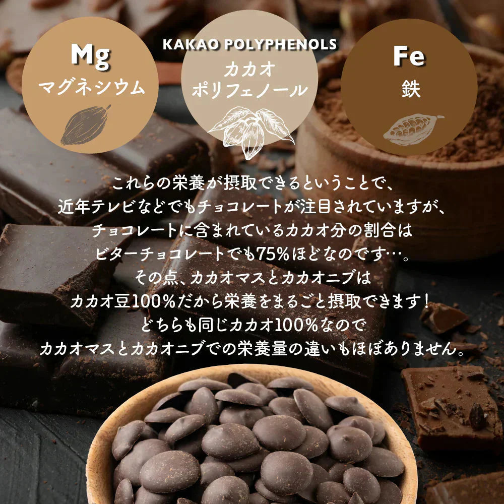 カカオマス 500g 送料無料 チョコレート お菓子づくり 製菓 製パン