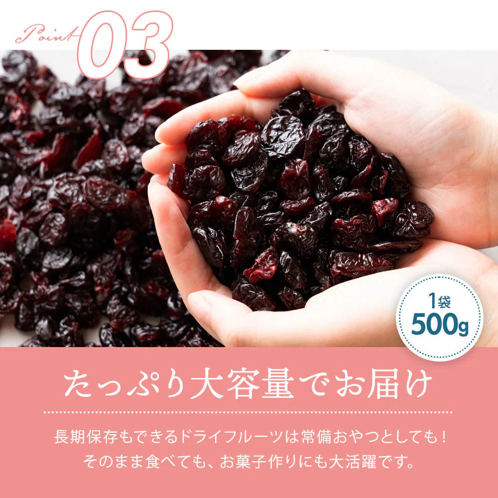 完売 ドライフルーツ ドライサワーチェリー500g ドライチェリー さくらんぼ [ 送料無料 トルコ産 大容量 お徳用 業務用 お取り寄せ ドライフルーツ 製菓 おやつ お菓子作り チェリー フルーツ 製菓材料 ]