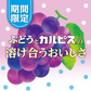 【送料無料】アサヒ ぶどう&『カルピス』 PET1.5L×1ケース/8本