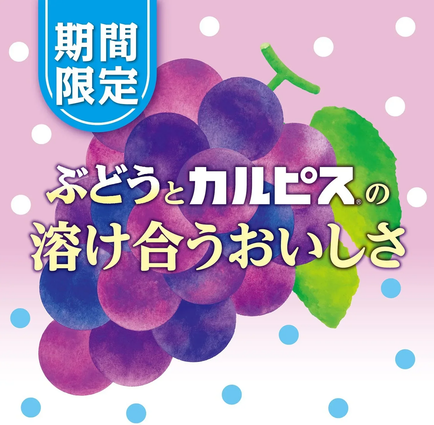 【送料無料】アサヒ ぶどう&『カルピス』 PET1.5L×1ケース/8本