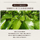 京都産有機桑の葉100% 桑の葉 お茶 国産 パウダー 粉末 糖質制限 くわ茶 健康茶 お茶 便秘 糖尿病 血圧 体にいい