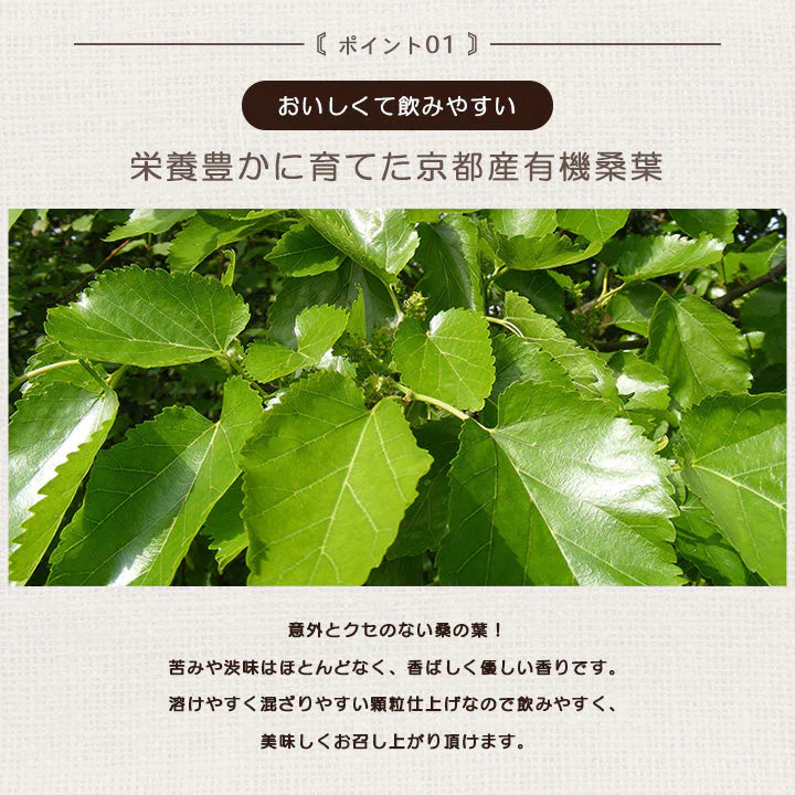 京都産有機桑の葉100% 桑の葉 お茶 国産 パウダー 粉末 糖質制限 くわ茶 健康茶 お茶 便秘 糖尿病 血圧 体にいい