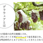 【6月下旬～7月上旬頃より順次出荷】デラウェア ぶどう 送料無料 1kg 8～10房 福岡県産 葡萄 黒ぶどう 巨峰 藤稔 ピオーネ