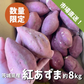 茨城県産 紅あずま 約８kg M〜Lサイズ 短丸規格 さつまいも サツマイモ 焼き芋 国産 さつま芋 ベニアズマ 数量限定