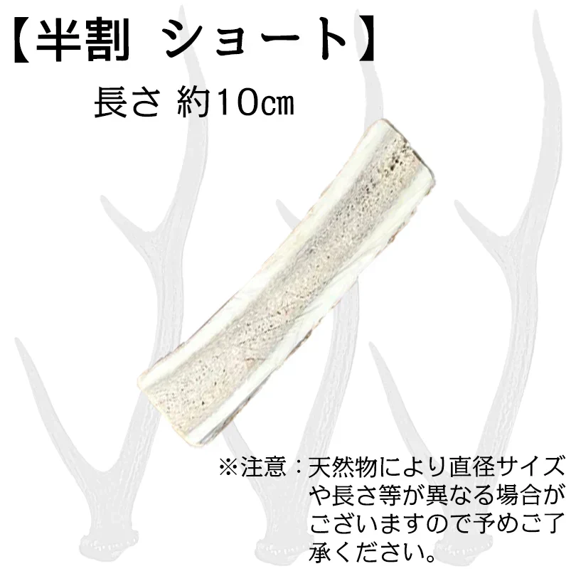 Deerhorn【半割ショート】 北海道産 鹿の角 鹿角 ペット 犬 おもちゃ 小型犬 半割 いたずら防止 おやつ デンタルケア ガム 天然 無添加