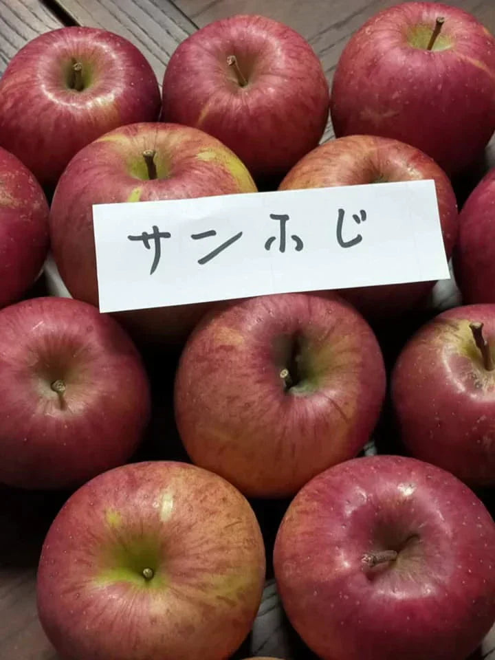 青森県産りんご サンふじ 果肉はややかたく、甘味があって酸味は少なめ 訳あり 1箱約2.5㎏ 小さめ（約10個～個体差により変動あり）佐川急便発送【6012】