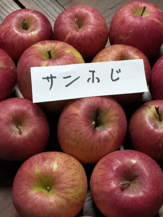 青森県産りんご サンふじ 果肉はややかたく、甘味があって酸味は少なめ 訳あり 1箱約2.5㎏ 小さめ（約10個～個体差により変動あり）佐川急便発送【6012】