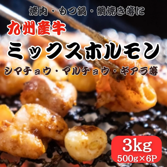 【3kg】国産牛ミックスホルモン（500g×6パック）（シマチョウ・マルチョウ・赤センマイ）