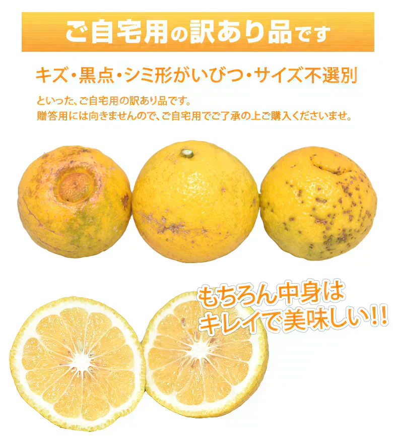 はるか みかん 10kg 箱込（内容量9kg＋補償分500g) 送料無料 訳あり 無選別 熊本県産 はるかみかん ミカン 蜜柑