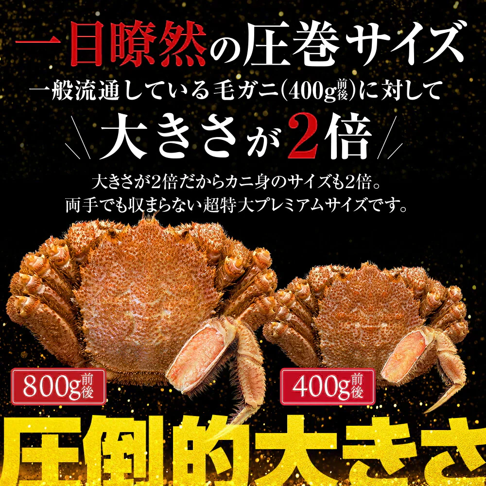 25%OFF★北海道産 浜茹で毛蟹 約800g×1尾【本州～九州エリア送料無料】