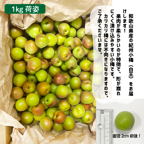 和歌山県産 小梅 2Lサイズ以上 約2kg 梅干し 紀州 白王 紀州 こうめ