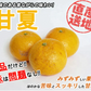 甘夏 訳あり 5kg みかん 蜜柑 ご家庭用 箱買い B品 サイズミックス あまなつ 柑橘 フルーツ 果物 産地直送 愛媛県産 YDF-014