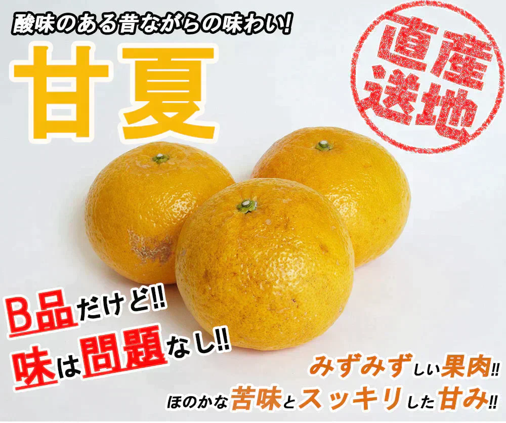 甘夏 訳あり 5kg みかん 蜜柑 ご家庭用 箱買い B品 サイズミックス あまなつ 柑橘 フルーツ 果物 産地直送 愛媛県産 YDF-014