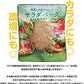 大豆ハンバーグ 代替肉 サラダバーグ 90g×6