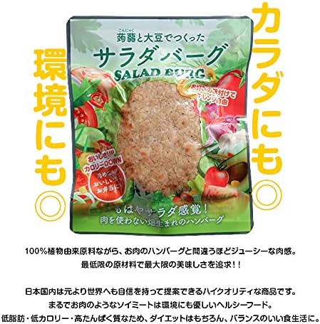 大豆ハンバーグ 代替肉 サラダバーグ 90g×6