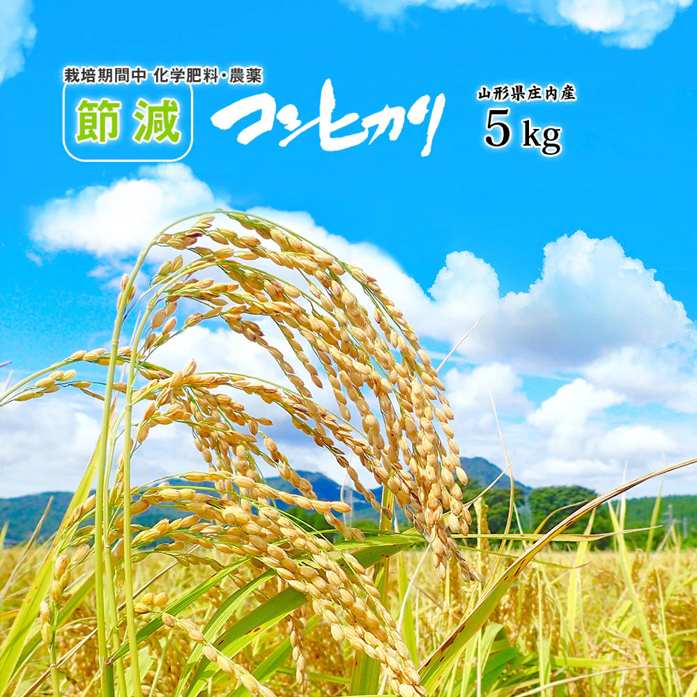 【節減対象農薬・化学肥料：当地比5割減】 コシヒカリ 無洗米 5kg (5kg×1袋) 山形県産 令和6年産 送料無料 米 5キロ こめ コメ お米 精米 新米 お米5kg 減農薬 コシヒカリ5kg コシヒカリ5キロ こしひかり5kg こしひかり5キロ