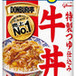 グリコ DONBURI亭 3食パック 牛丼 360g 10袋入