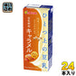 マルサンアイ ひとつ上の豆乳 豆乳飲料 キャラメル 200ml 紙パック 24本入
