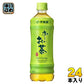 伊藤園 お～いお茶 緑茶 600ml ペットボトル 24本入 お茶 無香料 無調味