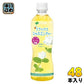 伊藤園 Relaxジャスミンティー 500ml ペットボトル 48本 (24本入×2 まとめ買い) 〔お茶〕