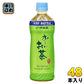 伊藤園 おーいお茶 緑茶 冷凍ボトル 485ml ペットボトル 48本 (24本入×2まとめ買い) 氷 お茶 冷 お～いお茶