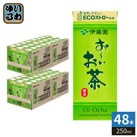 伊藤園 お～いお茶 緑茶 250ml 紙パック 48本 (24本入×2 まとめ買い) おーいお茶 緑茶飲料 〔お茶〕