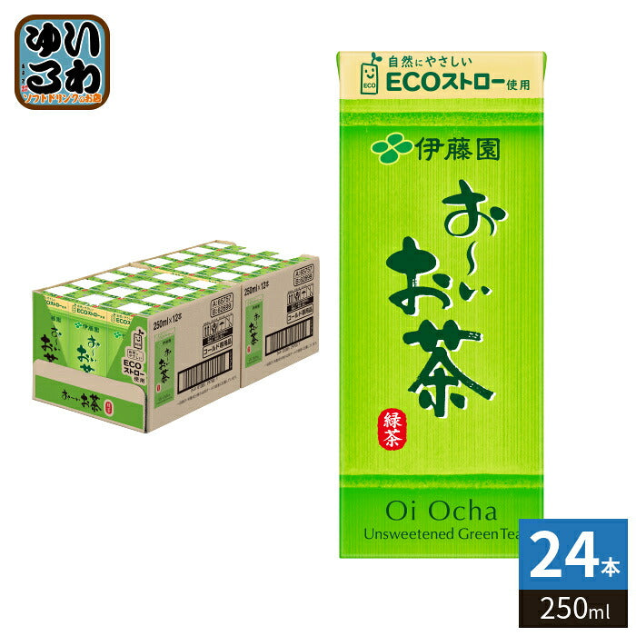 伊藤園 お～いお茶 緑茶 250ml 紙パック 24本入 おーいお茶 緑茶飲料 〔お茶〕