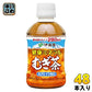 伊藤園 健康ミネラルむぎ茶 280ml ペットボトル 48本 (24本入×2 まとめ買い) お茶 デカフェ ノンカフェイン 麦茶