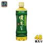 伊藤園 お～いお茶 濃い茶 525ml ペットボトル 48本 (24本入×2 まとめ買い) 〔お茶〕