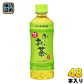 伊藤園 お～いお茶 緑茶 350ml ペットボトル 48本 (24本入×2 まとめ買い) 〔お茶〕
