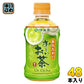 伊藤園 お～いお茶 緑茶 電子レンジ対応 ホット 275ml ペットボトル 48本 (24本入×2 まとめ買い) おーいお茶