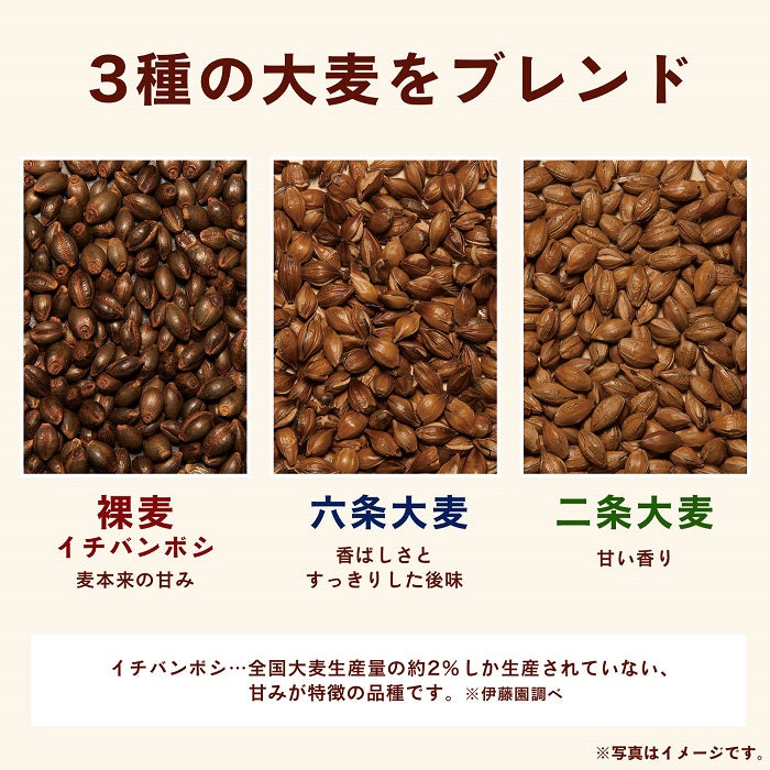 伊藤園 香り薫るむぎ茶 国産プレミアム ティーバッグ 7g×24袋 10個入 麦茶 お茶
