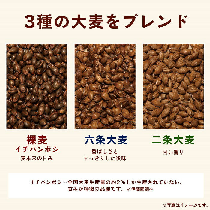伊藤園 香り薫るむぎ茶 国産プレミアム ティーバッグ 7g×24袋 10個入 麦茶 お茶