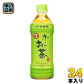 伊藤園 お～いお茶 緑茶(VD用) 500ml ペットボトル 24本入 〔お茶〕