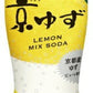 伊藤園 Vivit's（ビビッツ） 京ゆずミックスソーダ 450ml ペットボトル 48本 (24本入×2 まとめ買い)
