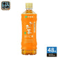伊藤園 お～いお茶 ほうじ茶 600ml ペットボトル 48本 (24本入×2 まとめ買い) 焙じちゃ ほうじ前茶 お茶