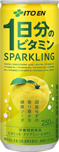 伊藤園 1日分のビタミン スパークリング 250ml 缶 60本 (30本入×2 まとめ買い) 〔炭酸飲料〕