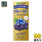 伊藤園 ブルーベリーぶどうmix 200ml 紙パック 96本 (24本入×4 まとめ買い) 果汁飲料 ブルーベリー 葡萄 アントシアニン