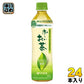 伊藤園 お～いお茶 カテキン緑茶 500ml ペットボトル 24本入 茶飲料 特保 カロリーゼロ トクホ