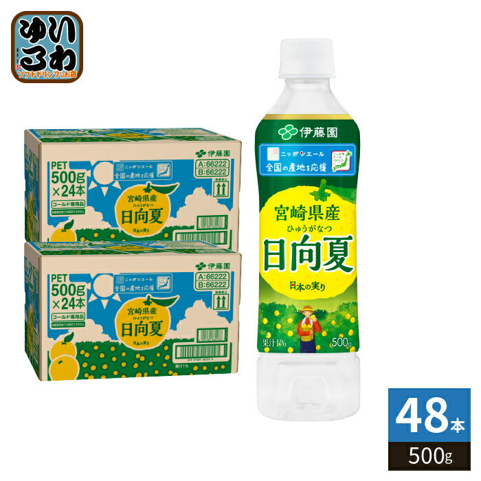 伊藤園 ニッポンエール 宮崎産日向夏 500g ペットボトル 48本 (24本入×2 まとめ買い) 果汁飲料 柑橘