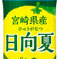 伊藤園 ニッポンエール 宮崎産日向夏 500g ペットボトル 48本 (24本入×2 まとめ買い) 果汁飲料 柑橘